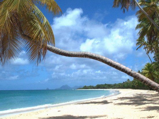 *Iles paradisiaques!*Martinique*